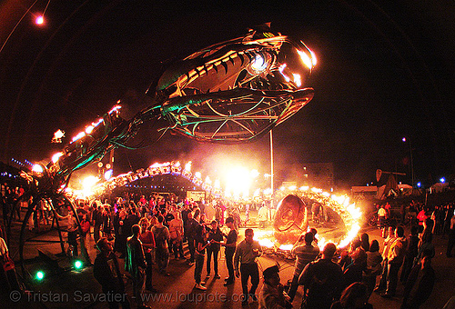 giant snake skeleton sculpture - head - crucible fire arts festival 2007 (oakland, california) - serpent mother, burning, fire art, fisheye, sculpture, serpent mother, skeleton, snake