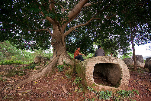 giant stone jars - plain of jars - site 2 - phonsavan (laos), archaeology, phonsavan, plain of jars, stone jars, tree