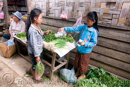 girls dealing in market (laos), bank notes, banknote, buyer, buying, children, dealing, farmers market, food, girls, herbs, kids, little girl, money, paying, produce, seller, selling, vegetables