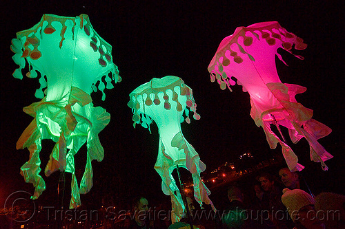 glowing jellyfishes - billion jelly bloom, billion jelly bloom, bjb, glowing, jellyfishes, night, performance art