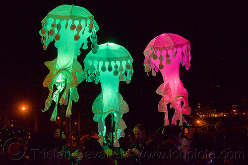glowing jellyfishes - billion jelly bloom, billion jelly bloom, bjb, glowing, jellyfishes, night, performance art