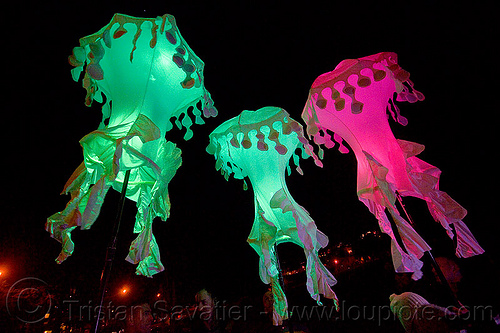 glowing jellyfishes - billion jelly bloom, billion jelly bloom, bjb, glowing, jellyfishes, night, performance art