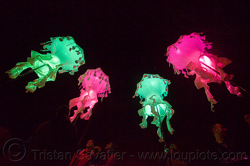 glowing jellyfishes - billion jelly bloom, billion jelly bloom, bjb, glowing, jellyfishes, night, performance art