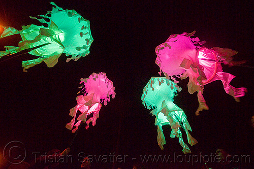 glowing jellyfishes - billion jelly bloom, billion jelly bloom, bjb, glowing, jellyfishes, night, performance art