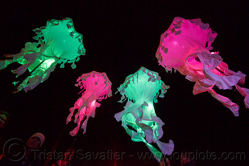 glowing jellyfishes - billion jelly bloom, billion jelly bloom, bjb, glowing, jellyfishes, night, performance art