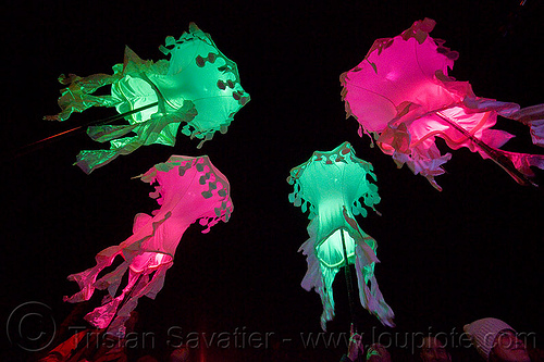 glowing jellyfishes - billion jelly bloom, billion jelly bloom, bjb, glowing, jellyfishes, night, performance art