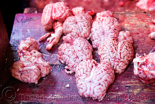 goat brains in meat shop (ladakh), butcher, chevon, goat brains, goat meat, halal meat, ladakh, leh, meat market, meat shop, mutton, raw meat, लेह