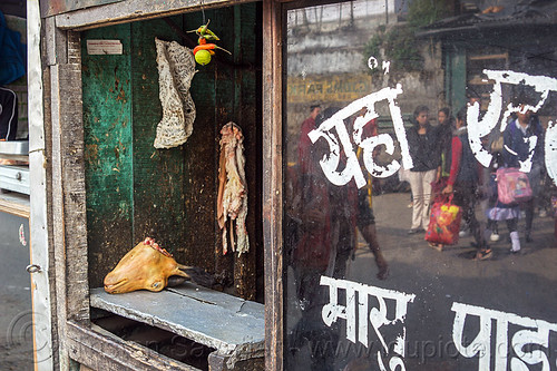 goat head - meat market - darjeeling (india), butcher, chili, darjeeling, goat head, goat meat, meat market, meat shop, mutton, painted, pepper, raw meat, severed head, store, window