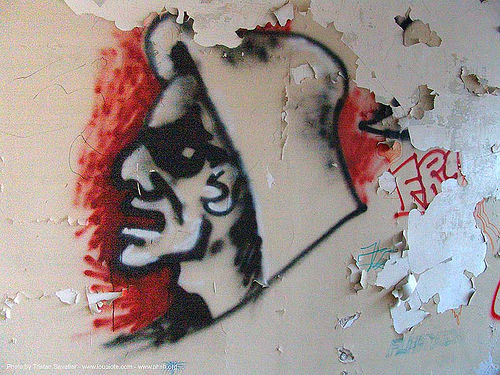 graffiti - abandoned hospital (presidio, san francisco), abandoned building, abandoned hospital, graffiti, presidio hospital, presidio landmark apartments, trespassing