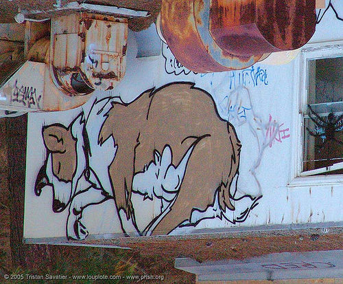 graffiti-dog - up-side down - abandoned hospital (presidio, san francisco), abandoned building, abandoned hospital, dog, graffiti, presidio hospital, presidio landmark apartments, trespassing