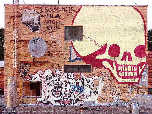 graffiti - skull - roof - abandoned hospital (presidio, san francisco), abandoned building, abandoned hospital, graffiti, herman, hermann, presidio hospital, presidio landmark apartments, roof, skulls, trespassing