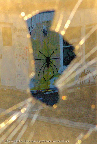 graffiti-spider - broken window - abandoned hospital (presidio, san francisco), abandoned building, abandoned hospital, graffiti, presidio hospital, presidio landmark apartments, spider, trespassing, window