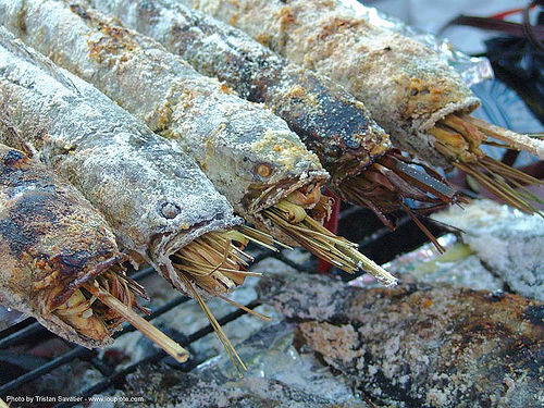 grilled mekong fishes - thailand, catfish, cooked, cooking, food, fresh-water fishes, grilled fishes, mekon fishes, nong khai, panned, street seller, thailand
