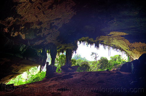gua niah - niah caves (borneo), backlight, borneo, cave formations, cave mouth, caving, concretions, gua niah, jungle, malaysia, natural cave, niah caves, rain forest, speleothems, spelunking, stalactites