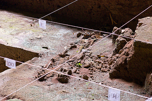 gua niah - prehistoric skeleton - archaeological excavations, archaelogy, archaeology, borneo, dig, excavation, gua niah, human bones, human remains, malaysia, natural cave, niah caves, niah painted cave, skeletal remains, skeleton