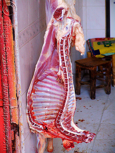half goat carcasse in meat shop - spine and ribs, butcher, carcass, chevon, goat meat, halal meat, half, hanging, kurdistan, mardin, meat market, meat shop, mutton, raw meat, ribs, spine