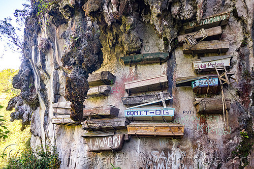 hanging coffins - sagada (philippines), burial site, cemetery, cliff, echo valley, grave, hanging coffins, sagada, tomb