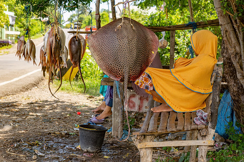 hanging sting rays at fish stand - reticulate whipray, fish market, hanging, himantura uarnak, honeycomb stingray, merchant, reticulate whipray, road, sitting, sting rays, street seller, vendor, woman