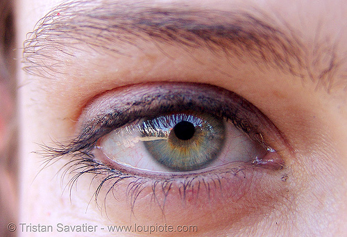 helena's eye, beautiful eyes, closeup, eye color, eyelashes, helena, iris, woman