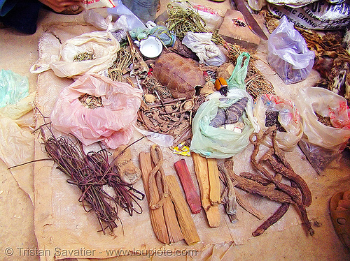 herbal and natural medicines used by shaman, healer, healing, hill tribes, indigenous, man, medicine, mèo vạc, vietnam shaman