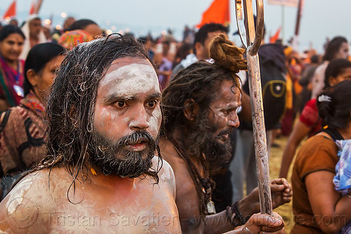 hindu devotee - kumbh mela (india), beard, crowd, hindu pilgrimage, hinduism, holy ash, kumbh mela, men, naga babas, naga sadhus, sacred ash, sadhu, trident, vasant panchami snan, vibhuti, walking