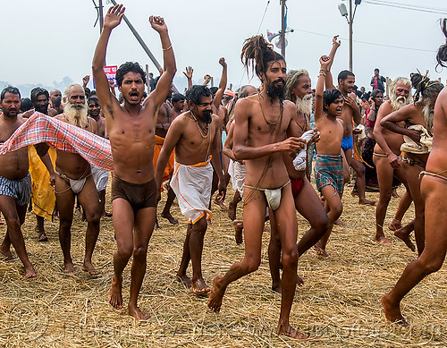 hindu devotees running after holy dip in ganges river - kumbh mela (india), crowd, hindu pilgrimage, hinduism, kumbh mela, men, running, straw, triveni sangam