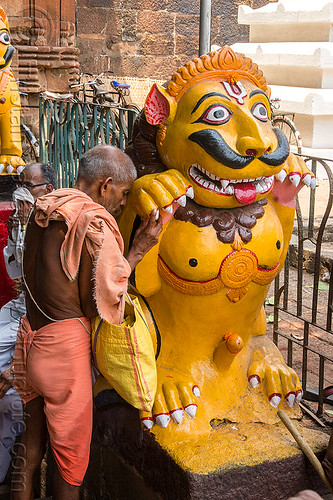 hindu man praying at mustachioed stone tiger (india), bhubaneswar, hindu temple, hinduism, lingaraj temple, lingaraja temple, man, mustache, painted, pilgrim, praying, sculpture, statue, sticking out tongue, sticking tongue out, stone tiger, tilak, tilaka, yellow