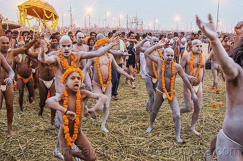 hindu men covered in white vibhuti holy ash running toward the ganges river - kumbh mela 2013 (india), boy, crowd, dawn, flower necklaces, hay, hindu pilgrimage, hinduism, holy ash, india, maha kumbh mela, marigold flowers, men, naga babas, naga sadhus, running, sacred ash, sadhu, triveni sangam, vasant panchami snan, vibhuti, walking