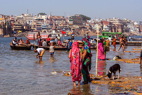 Hindu Pilgrims Having Holy Dip In Ganges River Varanasi India