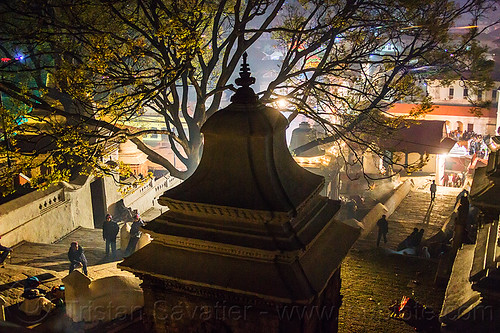 hindu shrine near the pashupatinath temple - kathmandu (nepal), backlight, hindu temple, hinduism, kathmandu, maha shivaratri, night, pashupatinath temple, shrine, stairs, steps, stupa, tree