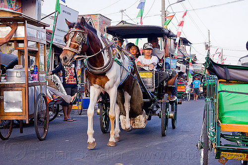 horse carriage in street in yogyakarta (indonesia), draft horse, draught horse, horse carriage