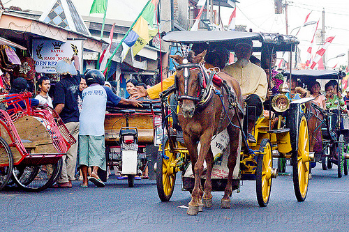 horse carriages in the street in jogja, draft horse, draught horse, horse carriage