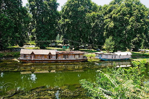 house boats - srinagar - kashmir, floating, house boats, kashmir, lake, srinagar, trees, سِرېنَگَر, شرینگر, श्रीनगर