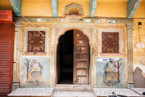 house door - jaipur (india), decorated, door, india, jaipur, old, painted