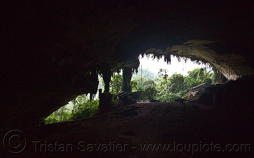 huge natural cave - gua niah - niah caves national park (borneo), backlight, borneo, cave formations, cave mouth, caving, concretions, gua niah, jungle, malaysia, natural cave, niah caves, rain forest, speleothems, spelunking, stalactites