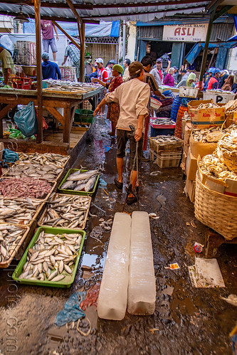 ice merchant pulling two large blocks of ice, block ice, blocks, fish market, man, pasar pabean, seafood, surabaya