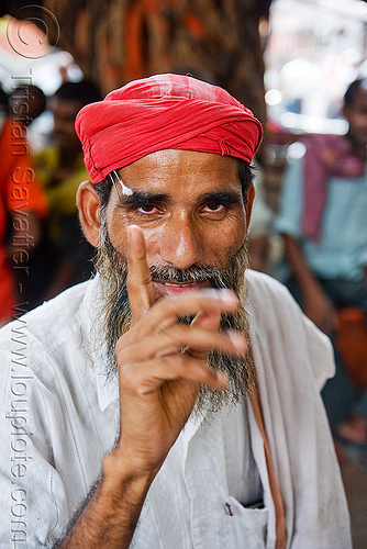 indian muslim wallah - delhi (india), beard, delhi, headwear, indian man, muslim, turban, wallah