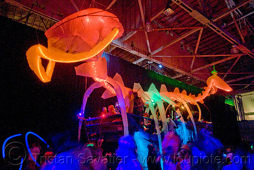 inflatable whale skeleton, art installation, ghostship 2009, halloween, inflatable art, party, skeleton, whale