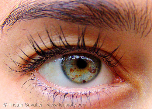 iris freckles - eye closeup, beautiful eyes, closeup, eye color, eye freckles, eyelashes, iris freckles, speckled iris, spots, spotted, woman