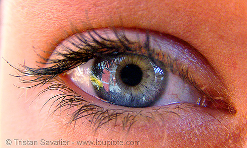 is that your eye?, beautiful eyes, closeup, eye color, eyelashes, iris, mascara, woman
