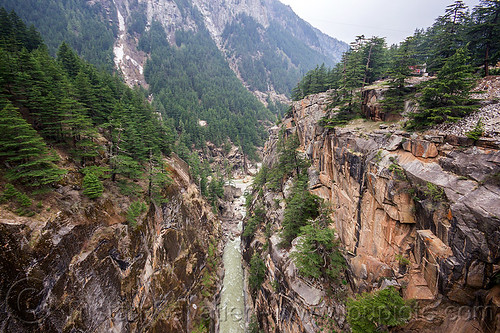 jadh ganga gorge (india), bhagirathi valley, canyon, cliffs, forest, gorge, india, jadh ganga, mountains, river