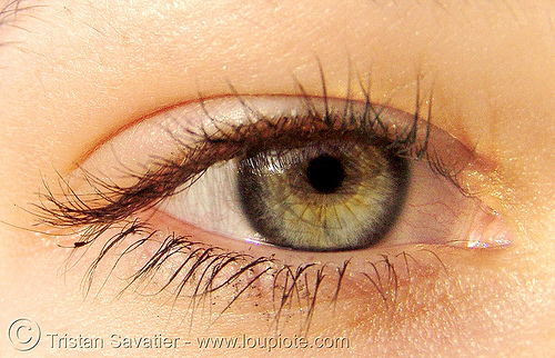 jessica's eye, close up, eye color, eyelashes, iris, jeskaeska, jessica, woman