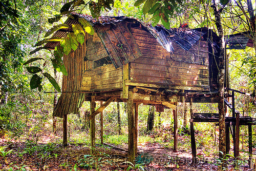 jungle hut - gunung mulu national park (borneo), borneo, cabin, corrugated, decaying, gunung mulu national park, house, hut, indigenous, jungle, malaysia, metal panels, rain forest, ruins, rusty, stilts, wooden
