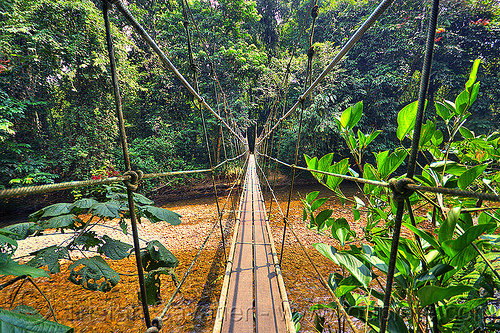 jungle monkey bridge (borneo), borneo, cables, gunung mulu national park, hiking, jungle, knots, lumber, malaysia, melinau river, pedestrian bridge, rain forest, river bed, ropes, sungai melinau, suspension bridge, trees, trekking, vanishing point