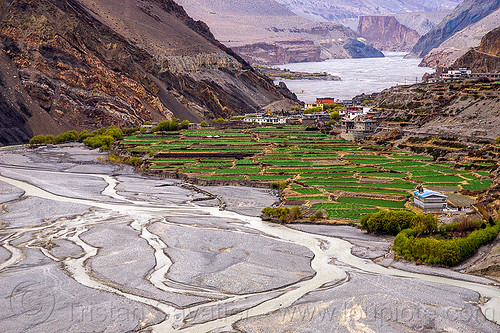 kagbeni village (nepal), annapurnas, kagbeni, kali gandaki river, kali gandaki valley, landscape, mountain river, mountains, river bed, terrace agriculture, terrace farming, terraced fields, village