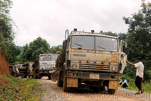 камаз - kamaz russian logging trucks convoy (laos), convoy, deforestation, dirt road, kamaz, log truck, logging trucks, lorry, timber, tree logging, tree logs, trees, unpaved, wood, камаз, камский автомобильный завод