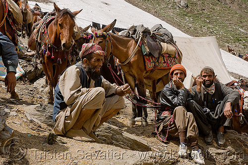 kashmiri load bearers with their ponies - amarnath yatra (pilgrimage) - kashmir, amarnath yatra, glacier, hiking, hindu pilgrimage, horses, kashmir, kashmiris, load bearers, men, mountain trail, mountains, muslim, pilgrims, ponies, snow, trekking, wallahs