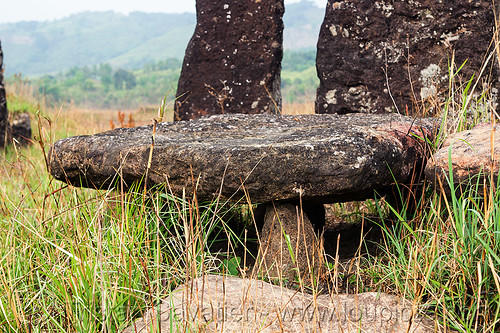 khasi dolmen - table-stone - memorial stones (india), archaeology, dolmen, east khasi hills, mawkait, mawshyieng, meghalaya, memorial stones, table-stone