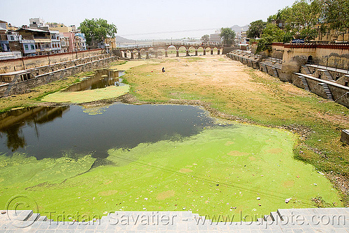 lake and bridge - udaipur (india), bridge, lake, river, udaipur