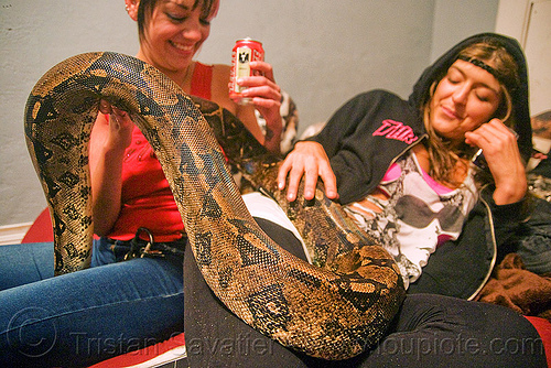 large pet boa snake, boa constrictor, eva, melody, pet snake, women